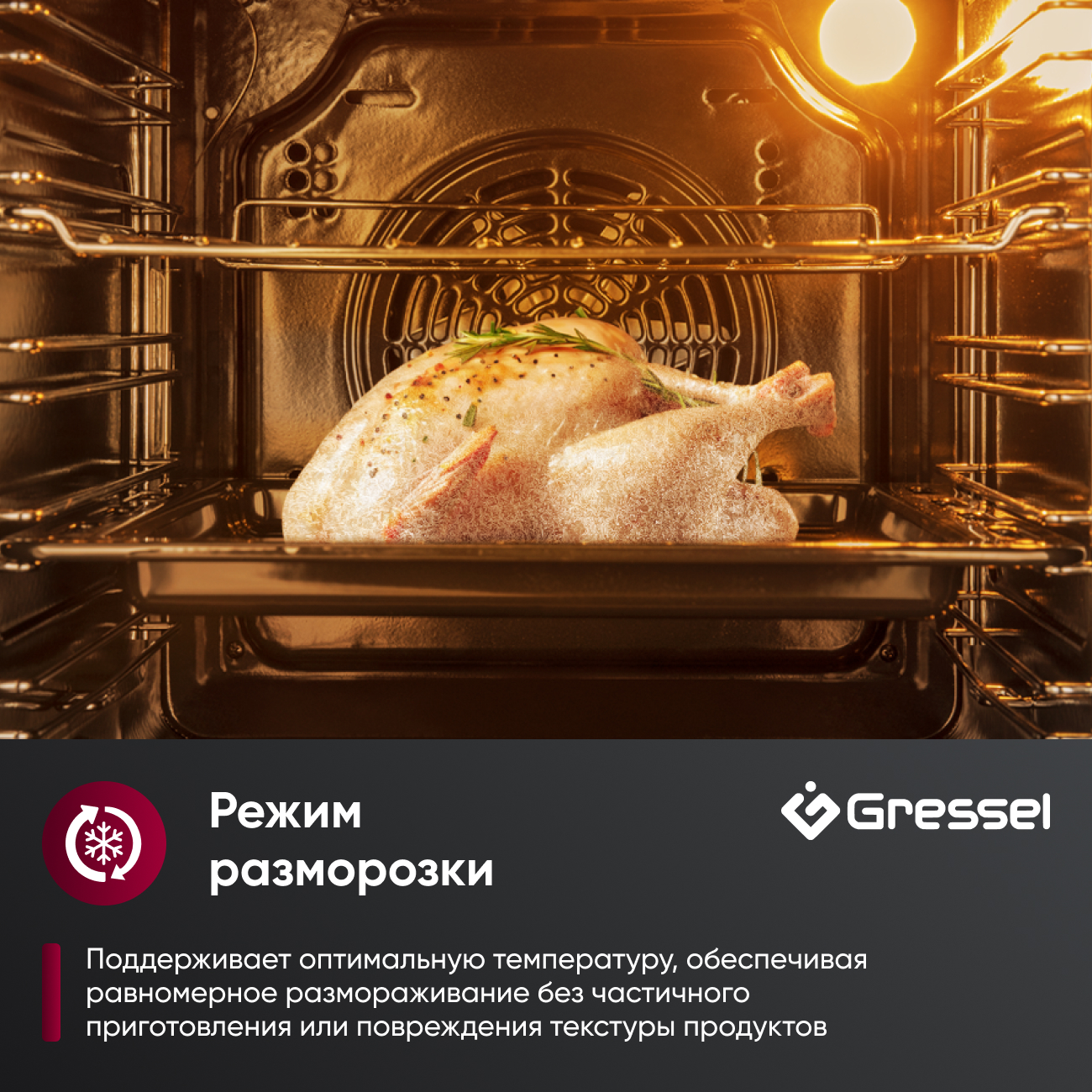 Комплект бытовой техники GRESSEL U66D58M14S01 (духовой шкаф 60см и варочная панель стеклокерамическая 60см)